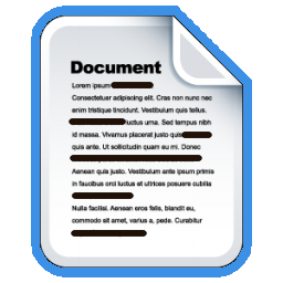 Redaction Services Document